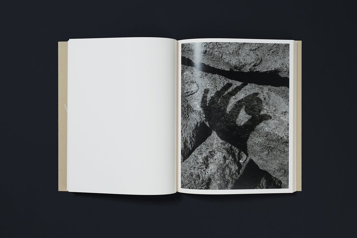 (Featured) Joselito Verschaeve: If I Call Stones Blue It Is Because Blue Is The Precise Word