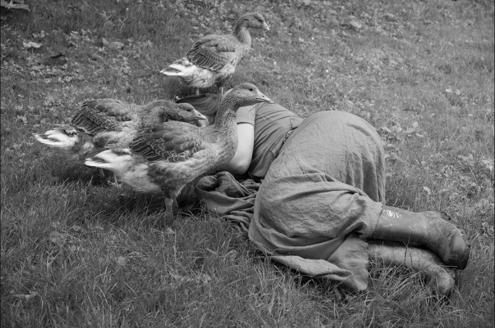 Yana Wernicke: Companions