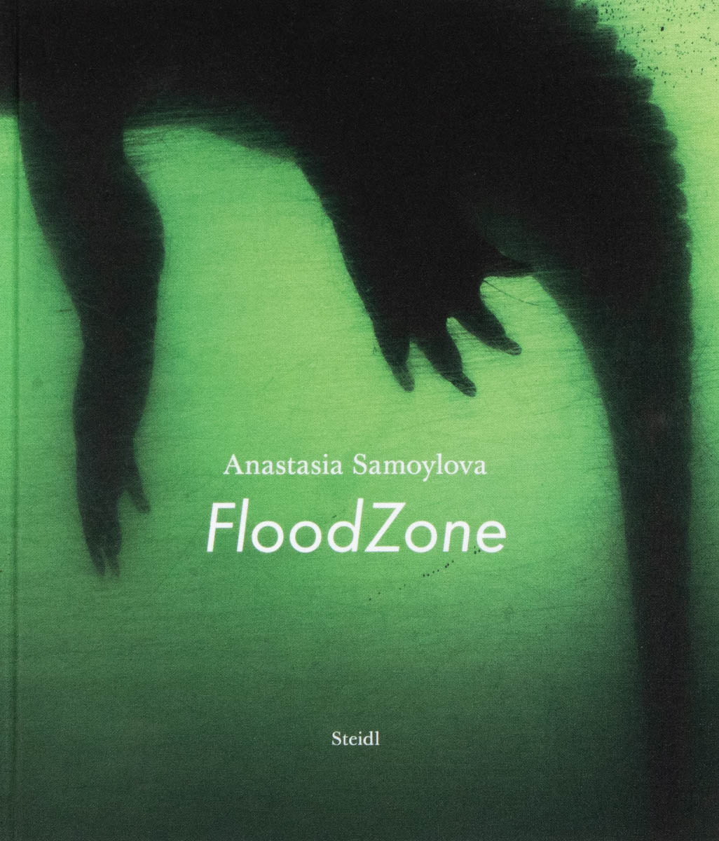 (Signed) Anastasia Samoylova: FloodZone