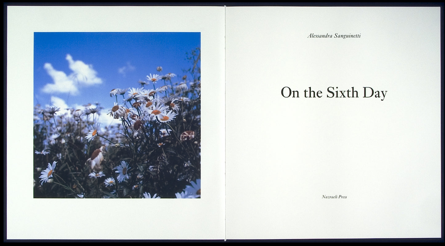 Alessandra Sanguinetti: On the Sixth Day