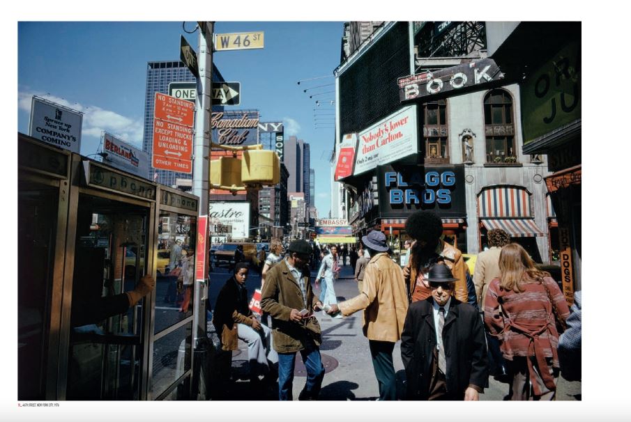 (Signed) Joel Meyerowitz: The Pleasure of Seeing