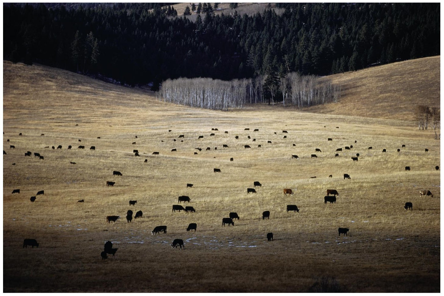 Ernst Haas: The American West